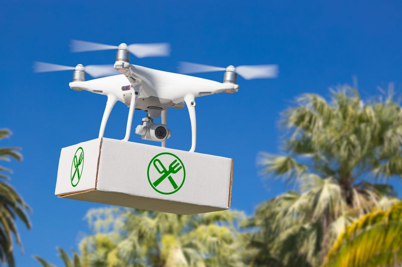 Drones delivery mensajeros impresoras projets exemples leipzig floats mediante empresas piensan cortesía entregas tello myventurepad